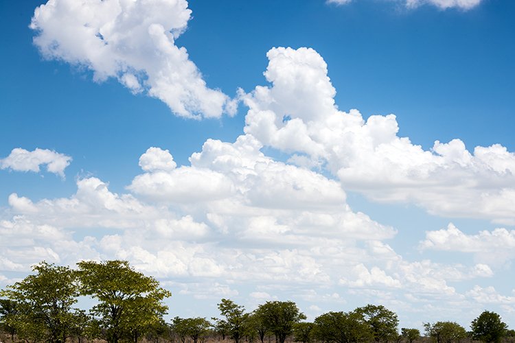 NAM OSHI Etosha 2016NOV26 042