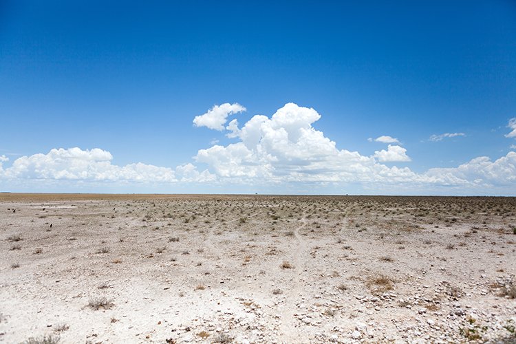 NAM OSHI Etosha 2016NOV26 056