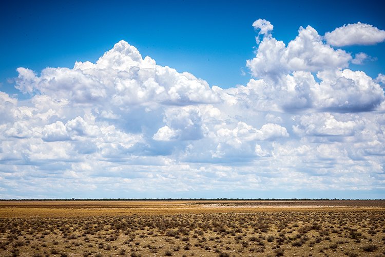 NAM OSHI Etosha 2016NOV26 061