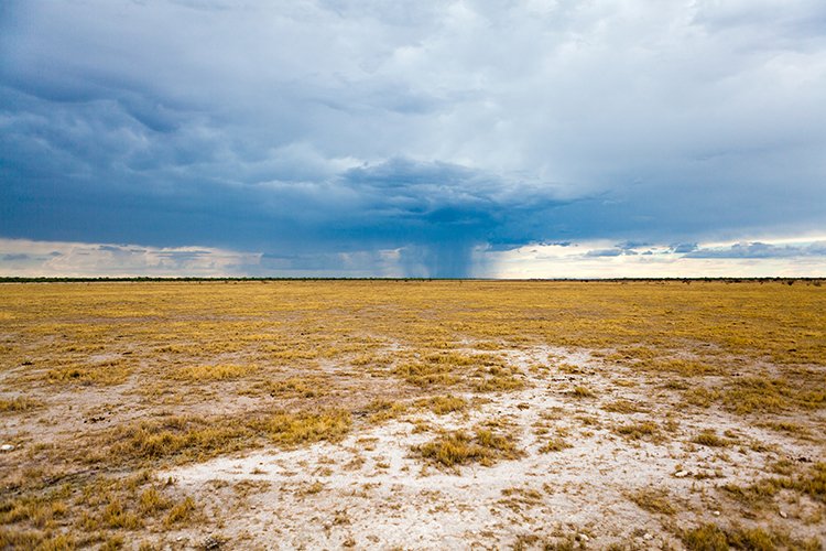 NAM OSHI Etosha 2016NOV27 116