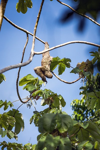 CRI PUN ManuelAntonio 2019MAY16 PNMA 014