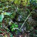GTM IZ AguaTemales 2019MAY04 005 : - DATE, - PLACES, - TRIPS, 10's, 2019, 2019 - Taco's & Toucan's, Aguas Termales Rio Dulce, Americas, Central America, Day, Guatemala, Izabal, May, Month, Northeast, Saturday, Year
