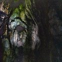 GTM IZ AguaTemales 2019MAY04 011 : - DATE, - PLACES, - TRIPS, 10's, 2019, 2019 - Taco's & Toucan's, Aguas Termales Rio Dulce, Americas, Central America, Day, Guatemala, Izabal, May, Month, Northeast, Saturday, Year