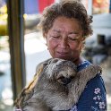 HND IDLB Roatan FrenchCay 2019MAY08 SlothHangout 003  For $12 USD, visitors are able to interact with   Roat&aacute;n sloths  ,   Capuchin   or " organ grinder " monkeys,   Scarlet Macaws   and an assortment of parrots. Other animals include the indigenous   Agouti   ( Roatan Island rodent ), the   Guiana   ( Squirrel monkey ) and the   Coati   ( South American raccoon ), that is only seen in this part of the world. : - DATE, - PLACES, - TRIPS, 10's, 2019, 2019 - Taco's & Toucan's, Americas, Central America, Daniel Johnson's Monkey & Sloth Hang Out, Day, French Cay, Honduras, Islas de la Bahía, May, Month, Roatán, Wednesday, Year