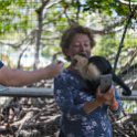 HND IDLB Roatan FrenchCay 2019MAY08 SlothHangout 009 : - DATE, - PLACES, - TRIPS, 10's, 2019, 2019 - Taco's & Toucan's, Americas, Central America, Daniel Johnson's Monkey & Sloth Hang Out, Day, French Cay, Honduras, Islas de la Bahía, May, Month, Roatán, Wednesday, Year