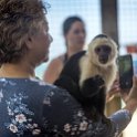 HND IDLB Roatan FrenchCay 2019MAY08 SlothHangout 012 : - DATE, - PLACES, - TRIPS, 10's, 2019, 2019 - Taco's & Toucan's, Americas, Central America, Daniel Johnson's Monkey & Sloth Hang Out, Day, French Cay, Honduras, Islas de la Bahía, May, Month, Roatán, Wednesday, Year