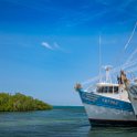 HND IDLB Roatan FrenchCay 2019MAY08 SlothHangout 038 : - DATE, - PLACES, - TRIPS, 10's, 2019, 2019 - Taco's & Toucan's, Americas, Central America, Daniel Johnson's Monkey & Sloth Hang Out, Day, French Cay, Honduras, Islas de la Bahía, May, Month, Roatán, Wednesday, Year