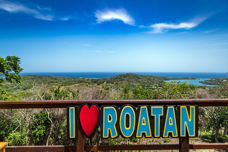 HND IDLB Roatan ParrotTree 2019MAY08 Kristis 001