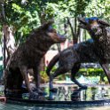 MEX CDMX Coyoacan 2019MAR29 FuenteCoyotes 005 : - DATE, - PLACES, - TRIPS, 10's, 2019, 2019 - Taco's & Toucan's, Americas, Central, Coyoacán, Day, Friday, Fuente de los Coyotes, March, Mexico, Mexico City, Month, North America, Year