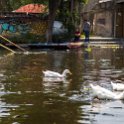 MEX CDMX Xochimilco 2019MAR29 Trajineras 023 : - DATE, - PLACES, - TRIPS, 10's, 2019, 2019 - Taco's & Toucan's, Americas, Central, Day, Friday, March, Mexico, Mexico City, Month, North America, Trajineras, Xochimilco, Year