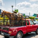 MEX CHP Palenque 2019APR06 006 : - DATE, - PLACES, - TRIPS, 10's, 2019, 2019 - Taco's & Toucan's, Americas, April, Chiapas, Day, Mexico, Month, North America, Palenque, Saturday, South Pacific Coast, Year