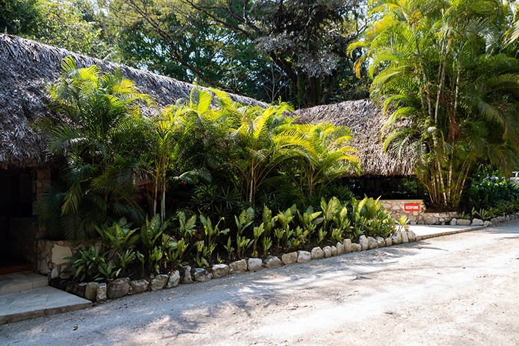 MEX CHP Palenque 2019APR06 HotelMayaBell 002
