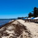 MEX ROO PlayaDelCarmen 2019APR10 007 : - DATE, - PLACES, - TRIPS, 10's, 2019, 2019 - Taco's & Toucan's, Americas, April, Day, Mexico, Month, North America, Playa del Carmen, Quintana Roo, South, Wednesday, Year
