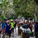 MEX YUC ChichenItza 2019APR09 ZonaArqueologica 006  Our arrivalcorresponded with a huge influx of tour buses loaded with cruise ship passengers from the resort towns of   Canc&uacute;n   ( 2&frac12; hour drive ) and   Playa del Carmen   ( 2&frac14; hour drive ), which turned the joint into an absolute zoo. : - DATE, - PLACES, - TRIPS, 10's, 2019, 2019 - Taco's & Toucan's, Americas, April, Chichén Itzá, Day, Mexico, Month, North America, South, Tuesday, Year, Yucatán