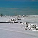 2004JAN25 - Quail Ridge