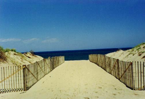 1999MAY25 USA MA Provincetown 004