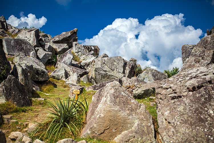 PER CUZ MachuPicchu 2014SEPT15 077