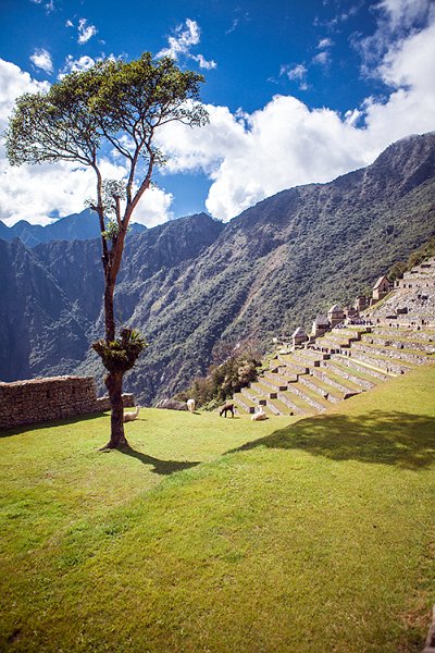 PER CUZ MachuPicchu 2014SEPT15 102