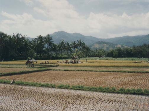 IDN Bali 1990OCT02 WRLFC WGT 008