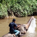 MYS KualaGandah 2011APR22 NES 037 : 2011, 2011 - By Any Means, April, Asia, Date, Kuala Gandah, Malaysia, Month, National Elephant Sanctuary, Places, Trips, Year