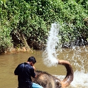 MYS KualaGandah 2011APR22 NES 038 : 2011, 2011 - By Any Means, April, Asia, Date, Kuala Gandah, Malaysia, Month, National Elephant Sanctuary, Places, Trips, Year