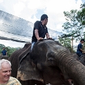 MYS KualaGandah 2011APR22 NES 052 : 2011, 2011 - By Any Means, April, Asia, Date, Kuala Gandah, Malaysia, Month, National Elephant Sanctuary, Places, Trips, Year