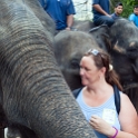 MYS KualaGandah 2011APR22 NES 054 : 2011, 2011 - By Any Means, April, Asia, Date, Kuala Gandah, Malaysia, Month, National Elephant Sanctuary, Places, Trips, Year