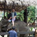 MYS KualaGandah 2011APR22 NES 060 : 2011, 2011 - By Any Means, April, Asia, Date, Kuala Gandah, Malaysia, Month, National Elephant Sanctuary, Places, Trips, Year