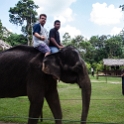 MYS KualaGandah 2011APR22 NES 063 : 2011, 2011 - By Any Means, April, Asia, Date, Kuala Gandah, Malaysia, Month, National Elephant Sanctuary, Places, Trips, Year