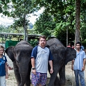 MYS KualaGandah 2011APR22 NES 066 : 2011, 2011 - By Any Means, April, Asia, Date, Kuala Gandah, Malaysia, Month, National Elephant Sanctuary, Places, Trips, Year