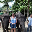 MYS KualaGandah 2011APR22 NES 067 : 2011, 2011 - By Any Means, April, Asia, Date, Kuala Gandah, Malaysia, Month, National Elephant Sanctuary, Places, Trips, Year