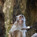 MYS BatuCaves 2011APR22 045 : 2011, 2011 - By Any Means, April, Asia, Batu Caves, Date, Kuala Lumpur, Malaysia, Month, Places, Trips, Year