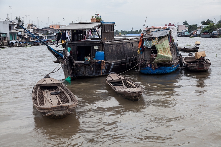 VNM CaiBe 2011APR18 MekongDelta 029