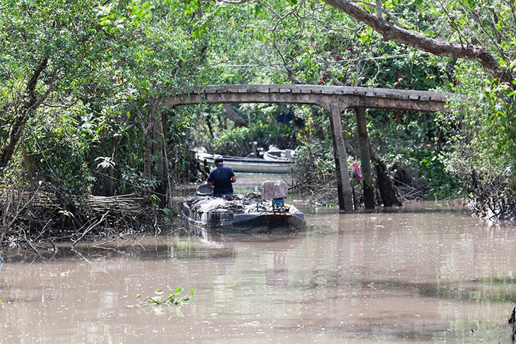 VNM CaiBe 2011APR18 MekongDelta 160