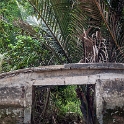 VNM_CaiBe_2011APR18_MekongDelta_059.jpg