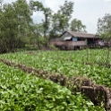 VNM CaiBe 2011APR18 MekongDelta 146 : 2011, 2011 - By Any Means, April, Asia, Cai Be, Date, Mekong Delta, Month, Places, Tien Giang Province, Trips, Vietnam, Year