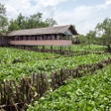 VNM CaiBe 2011APR18 MekongDelta 147 : 2011, 2011 - By Any Means, April, Asia, Cai Be, Date, Mekong Delta, Month, Places, Tien Giang Province, Trips, Vietnam, Year