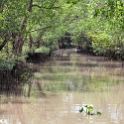 VNM CaiBe 2011APR18 MekongDelta 159 : 2011, 2011 - By Any Means, April, Asia, Cai Be, Date, Mekong Delta, Month, Places, Tien Giang Province, Trips, Vietnam, Year