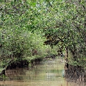 VNM CaiBe 2011APR18 MekongDelta 168 : 2011, 2011 - By Any Means, April, Asia, Cai Be, Date, Mekong Delta, Month, Places, Tien Giang Province, Trips, Vietnam, Year