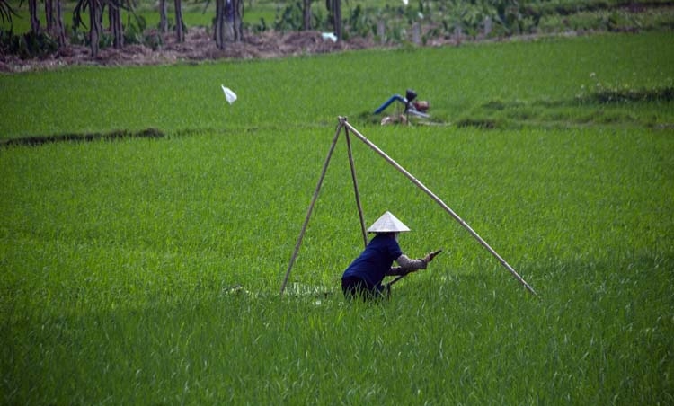 VNM Hanoi 2011APR12 002