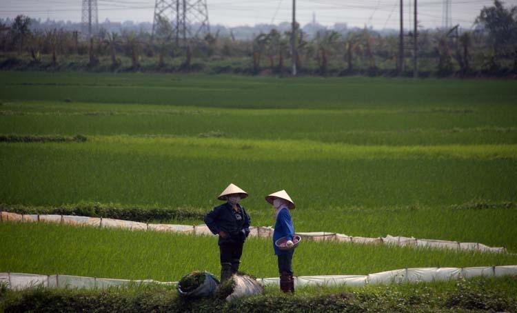 VNM Hanoi 2011APR12 003