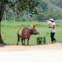 VNM HoaLu 2011APR13 008 : 2011, 2011 - By Any Means, April, Asia, Date, Hoa Lu, Month, Ninh Binh Province, Places, Temple Dinh Tien Hoang, Trips, Vietnam, Year