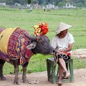 VNM HoaLu 2011APR13 009 : 2011, 2011 - By Any Means, April, Asia, Date, Hoa Lu, Month, Ninh Binh Province, Places, Temple Dinh Tien Hoang, Trips, Vietnam, Year