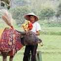 VNM HoaLu 2011APR13 010 : 2011, 2011 - By Any Means, April, Asia, Date, Hoa Lu, Month, Ninh Binh Province, Places, Temple Dinh Tien Hoang, Trips, Vietnam, Year