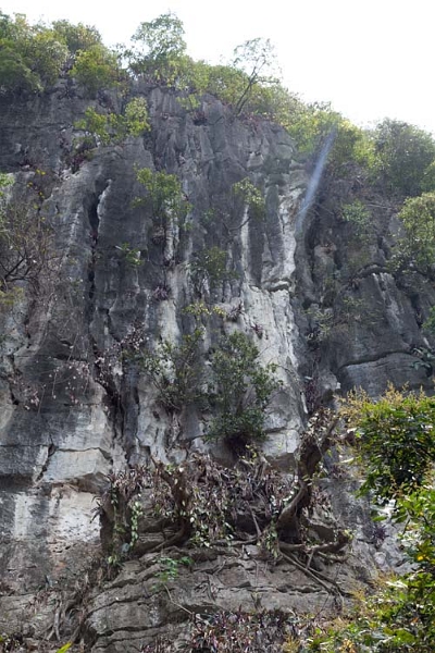 VNM PagodaBichDong 2011APR13 012