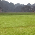 VNM PagodaBichDong 2011APR13 005 : 2011, 2011 - By Any Means, April, Asia, Date, Month, Ninh Binh Province, Pagoda Bich Dong, Places, Trips, Vietnam, Year