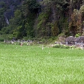 VNM PagodaBichDong 2011APR13 009 : 2011, 2011 - By Any Means, April, Asia, Date, Month, Ninh Binh Province, Pagoda Bich Dong, Places, Trips, Vietnam, Year