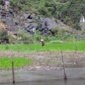 VNM TamCoc 2011APR13 050 : 2011, 2011 - By Any Means, April, Asia, Date, Month, Ninh Binh Province, Places, Tam Coc, Trips, Vietnam, Year