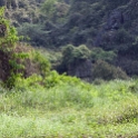 VNM TamCoc 2011APR13 074 : 2011, 2011 - By Any Means, April, Asia, Date, Month, Ninh Binh Province, Places, Tam Coc, Trips, Vietnam, Year