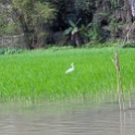 VNM TamCoc 2011APR13 080 : 2011, 2011 - By Any Means, April, Asia, Date, Month, Ninh Binh Province, Places, Tam Coc, Trips, Vietnam, Year